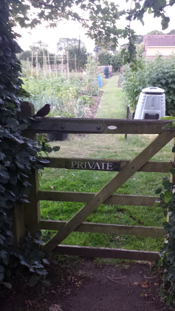"Private: Keep Out!!" Said the baby blackbird.